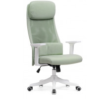 Компьютерное кресло Salta light green / white