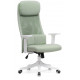 Компьютерное кресло Salta light green / white